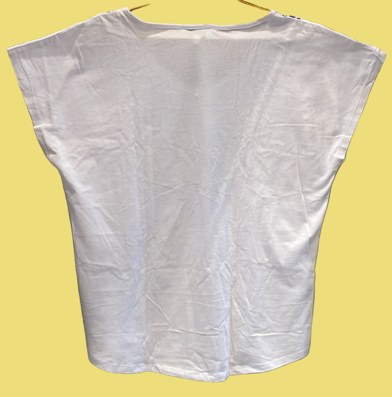 BLUSA BORDADA AMARA REYA