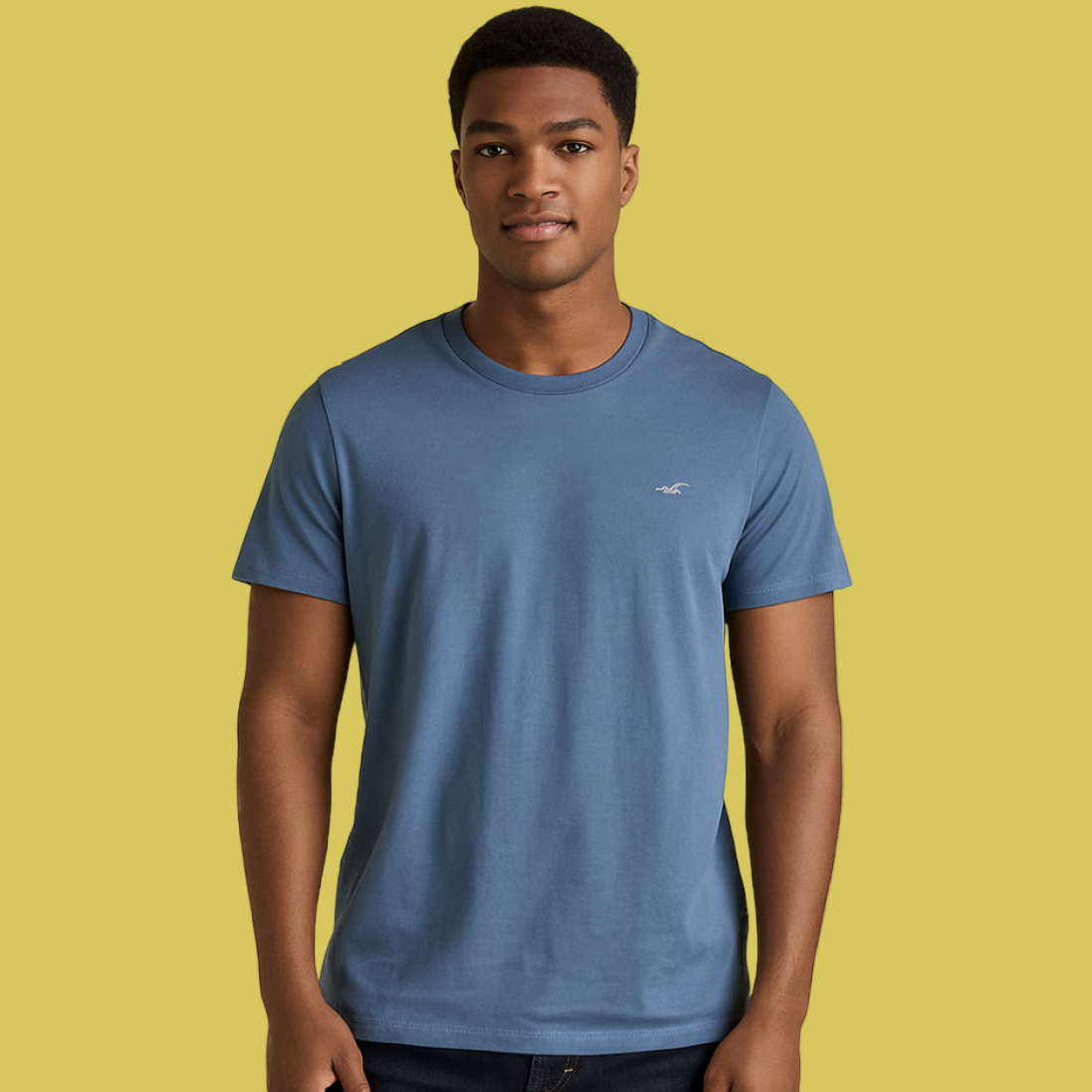 TSHIRT CORE FIT  HOLLISTER