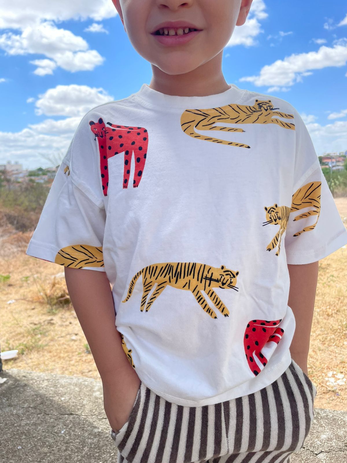 CONJUNTO  INFANTIL TSHIRT / SHORT  FELINE ZARA